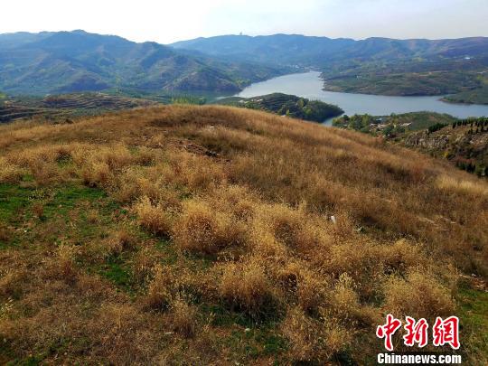 山东农民王永宝和他的乡村旅游创业之梦