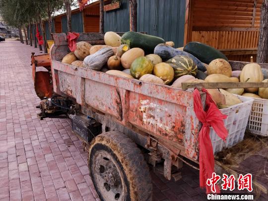 山东农民王永宝和他的乡村旅游创业之梦